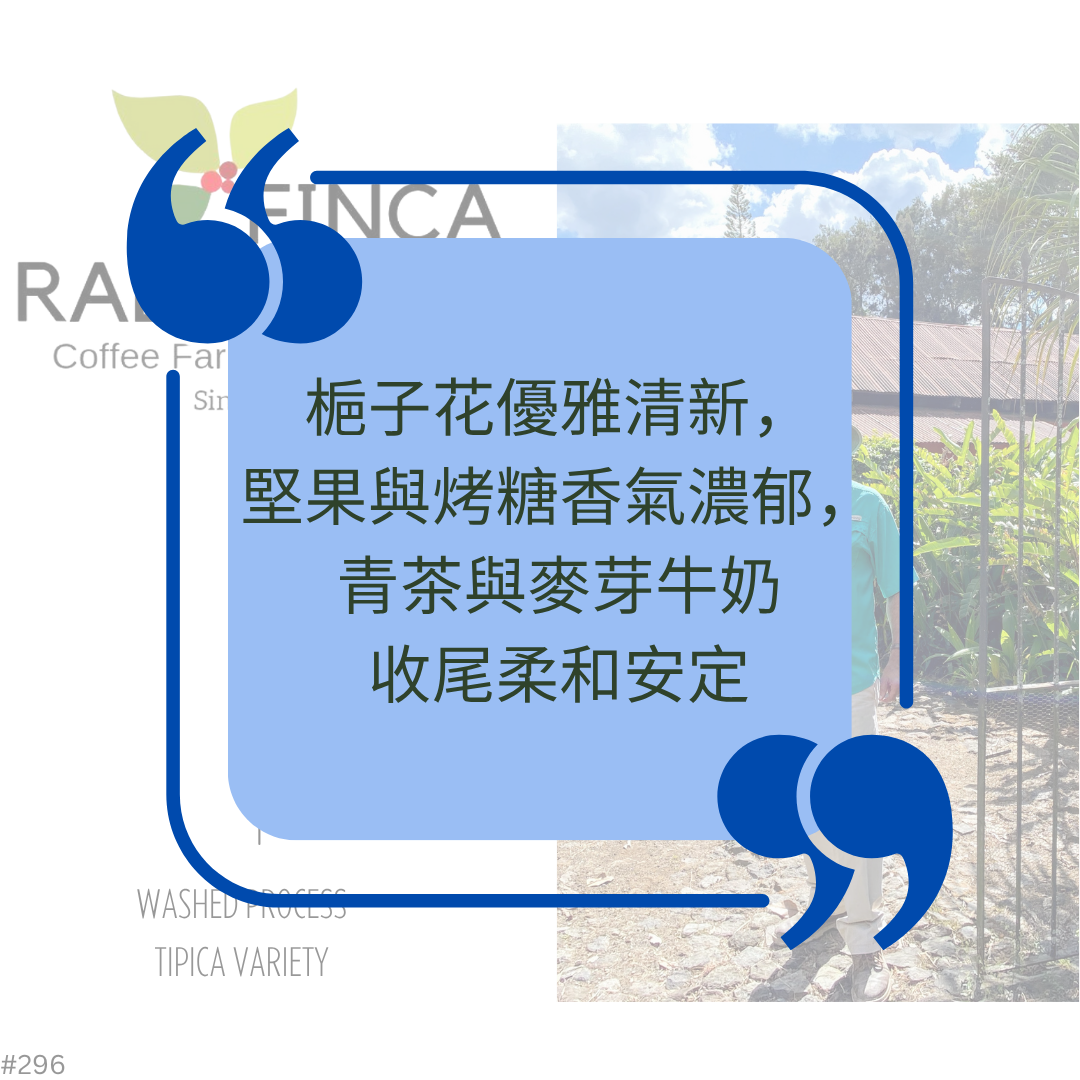 633.25 哈瓦那莊園 Rabanales．波旁．水洗處理法．法漢尼斯