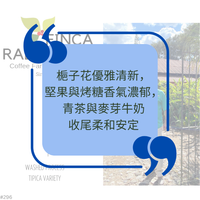 哈瓦那莊園 Rabanales Farm - 法漢尼斯 - 波旁 - 水洗處理法 - OIC# 11/570/6