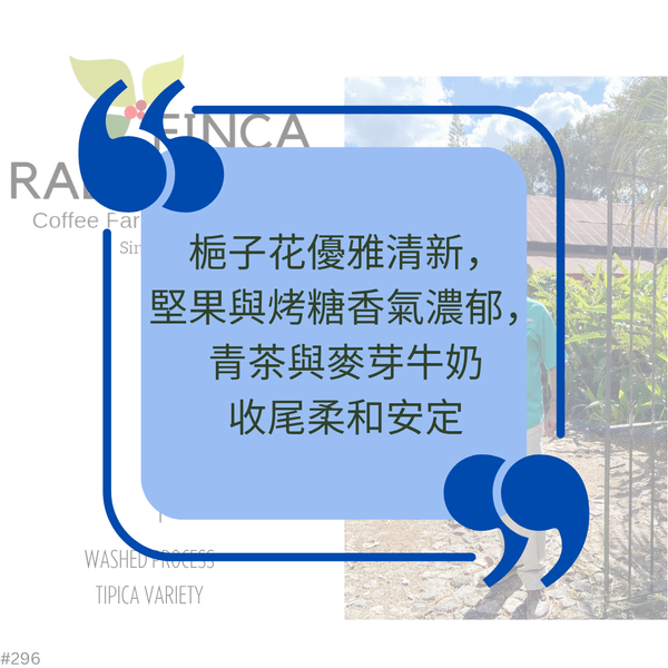 633.25 哈瓦那莊園 Rabanales．波旁．水洗處理法．法漢尼斯