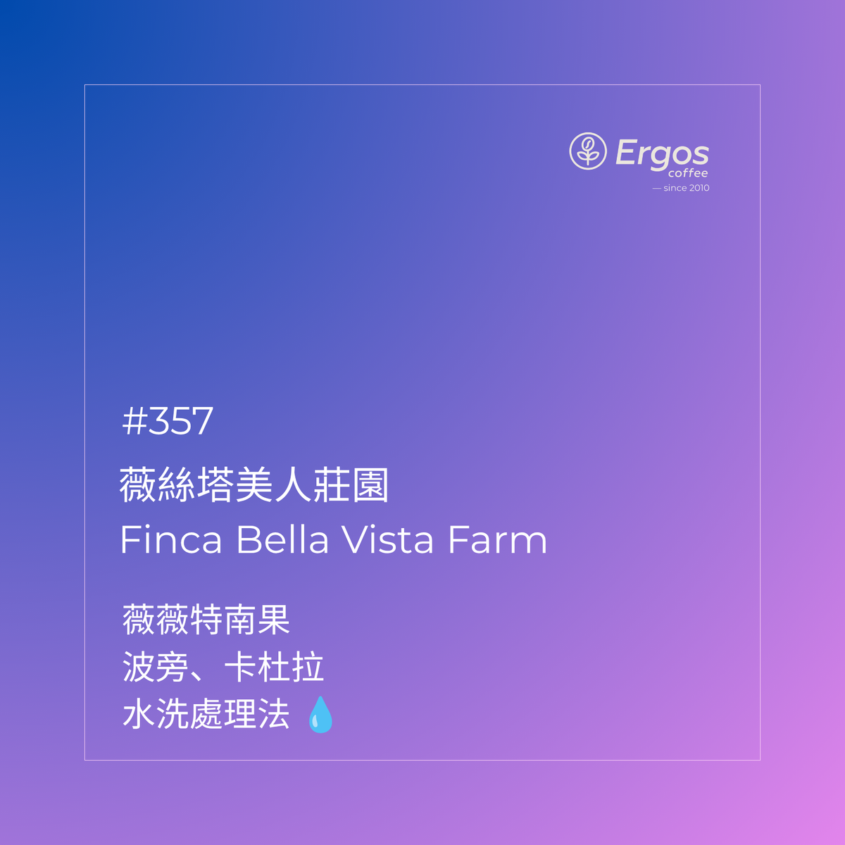 357 薇絲塔美人莊園 Finca Bella Vista - 薇薇特南果・波旁、卡杜拉・水洗處理法