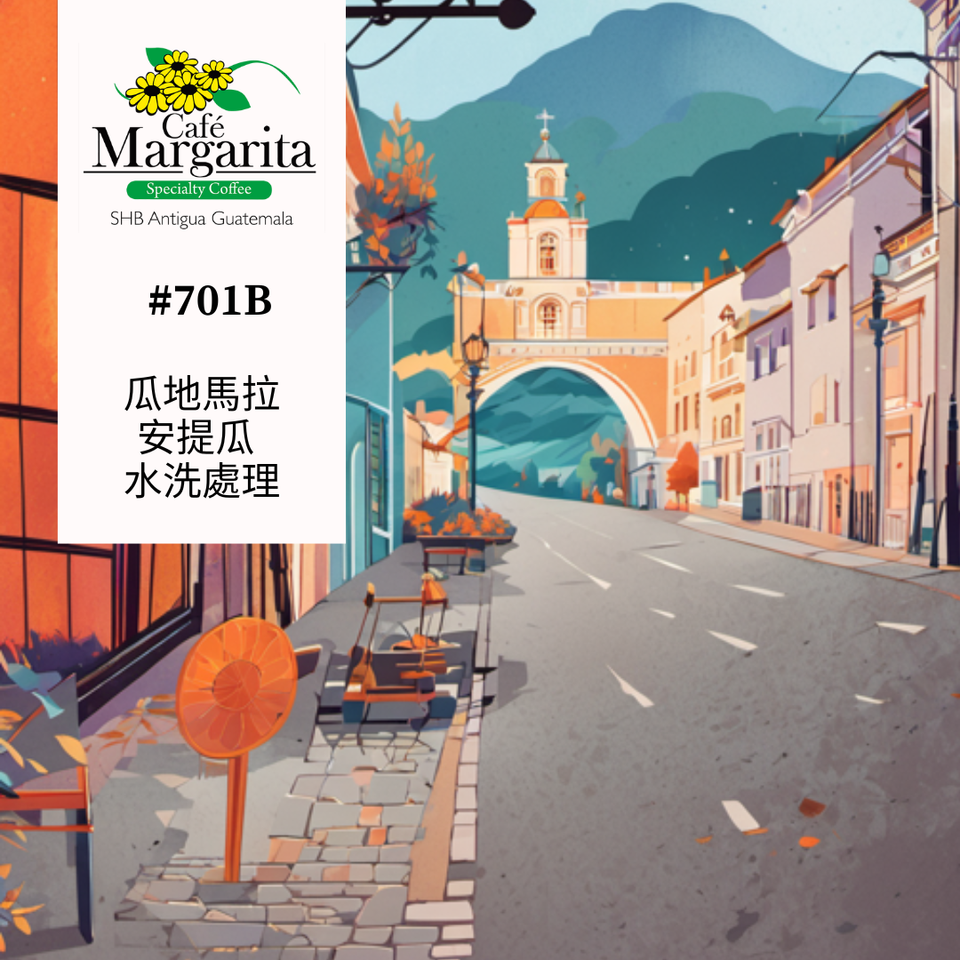701B 瑪格麗特花神咖啡 Margarita Coffee．圓豆．水洗處理法．安提瓜