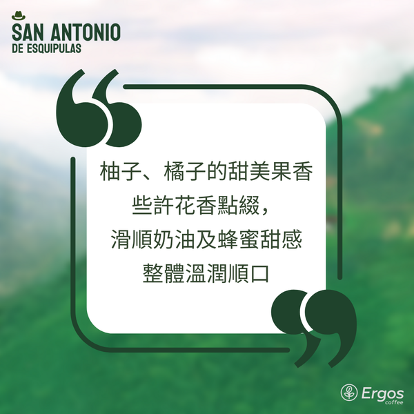 300 聖安東尼奧莊園 San Antonio Farm・波旁 (Bourbon)・水洗處理法・薇薇特南果