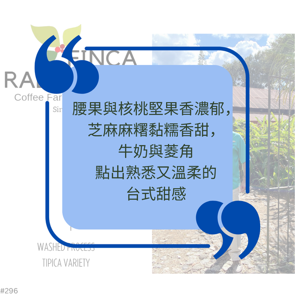 507.25 哈瓦那莊園 Rabanales Farm．黃波旁．水洗處理法．法漢尼斯