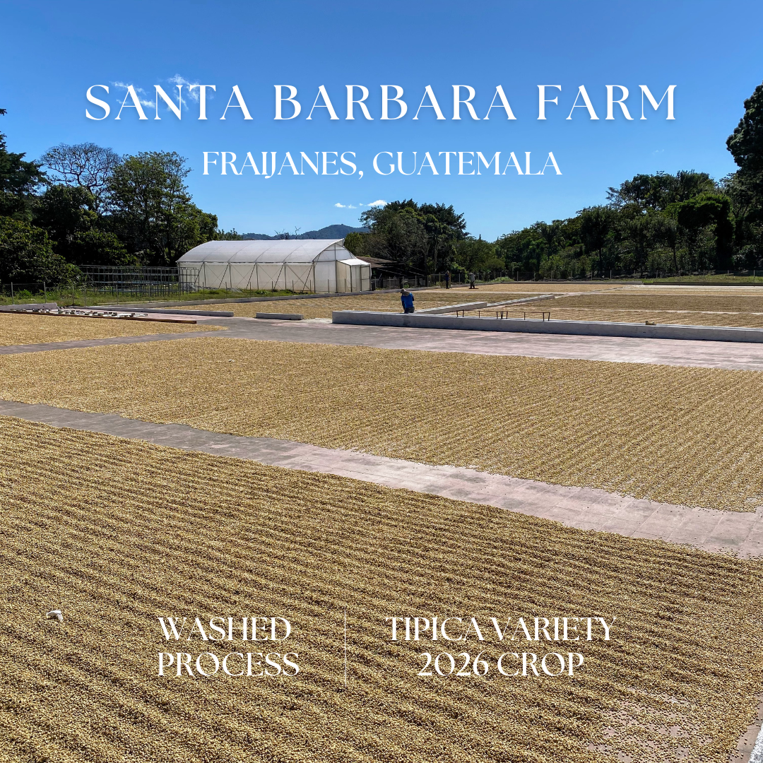 305 聖巴巴拉莊園Santa Barbara Farm - 法漢尼斯・鐵皮卡・水洗處理法