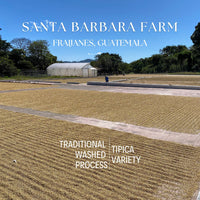 305 聖巴巴拉莊園Santa Barbara・鐵皮卡Tipica・水洗處理法・法漢尼斯