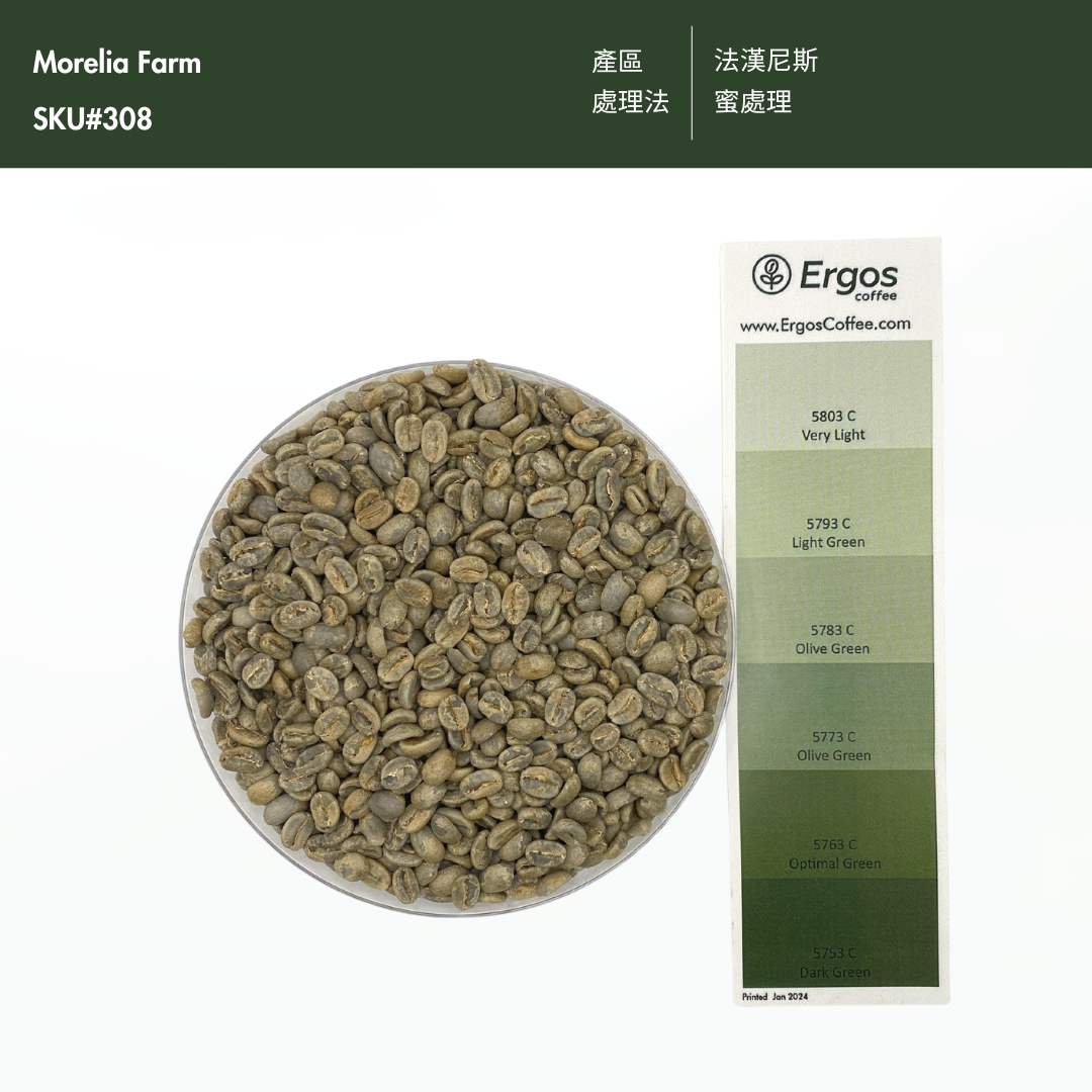 308 茉莉莊園．藝伎．蜜處理法．法漢尼斯  Morelia farm - 2024 COE, Honey process, Mataquescuintla, Fraijanes