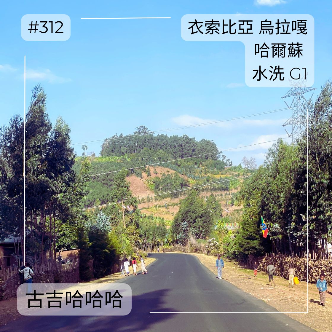 312 “古吉哈哈哈”熱賣中！衣索比亞・古吉・烏拉嘎・哈爾蘇・水洗・G1