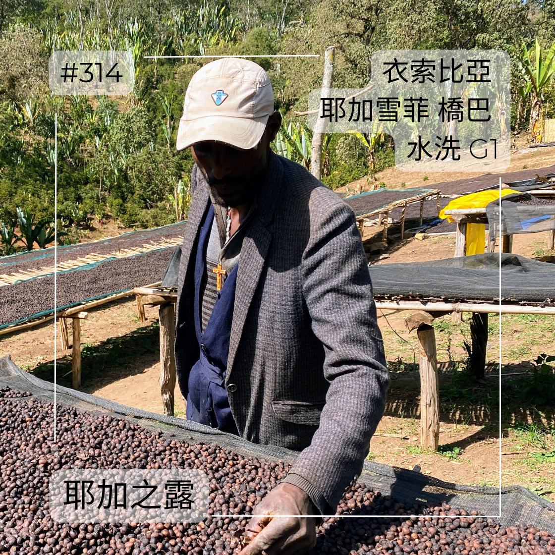 314 “耶加之露”熱賣中！衣索比亞・耶加雪菲・橋巴・水洗・G1