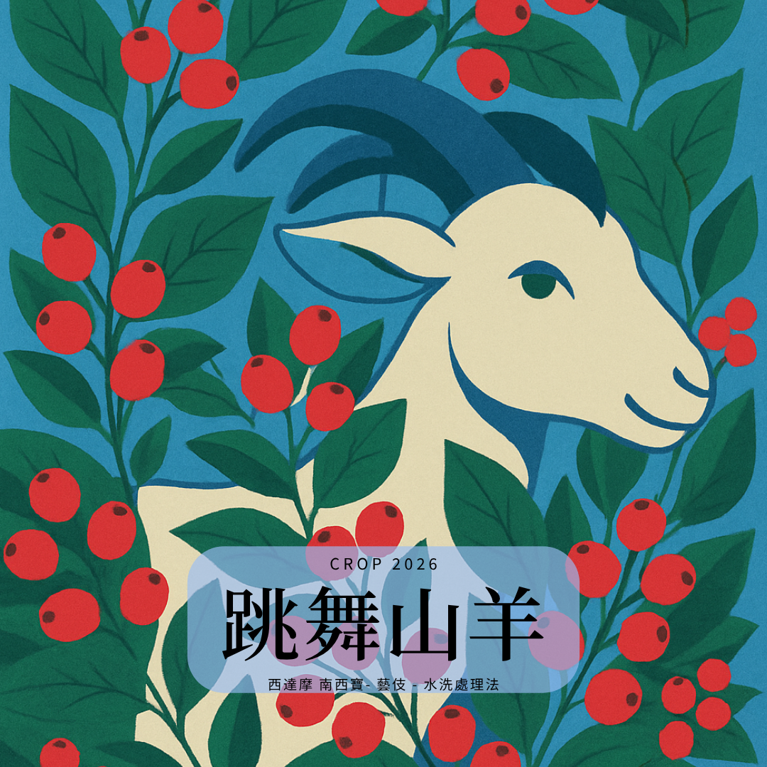 317 跳舞山羊 - 西阿希 南西寶 G1  - 西達摩 - 藝伎 - 水洗處理法