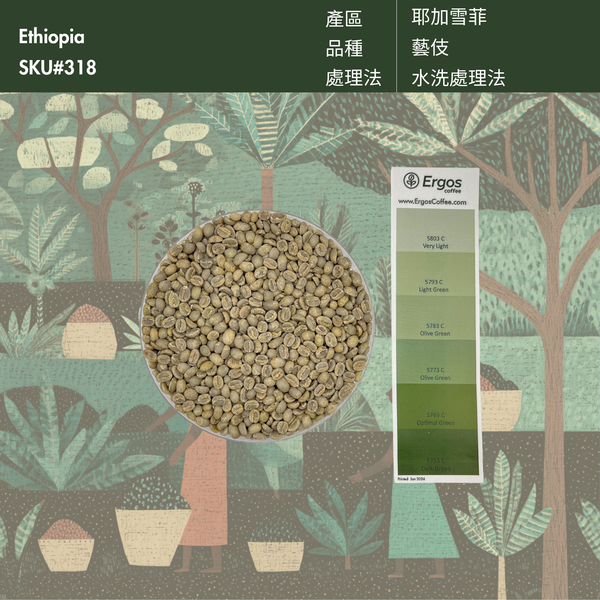 318 黃金傳說－耶加雪菲 藝伎 水洗 G1