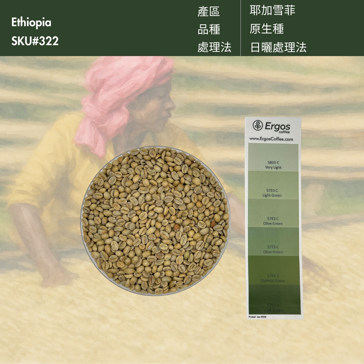 322 果果市長－耶加雪菲．果丁丁．日曬．G1