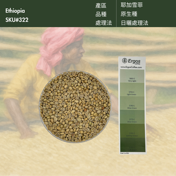 322 果果市長－耶加雪菲．果丁丁．日曬．G1