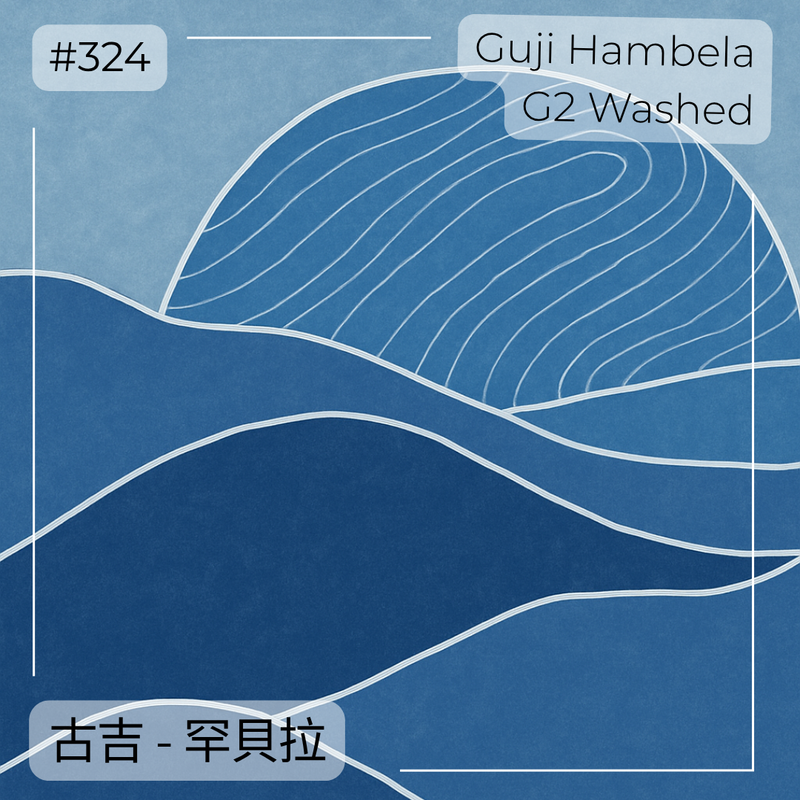 324 衣索比亞・古吉・罕貝拉・水洗・G2