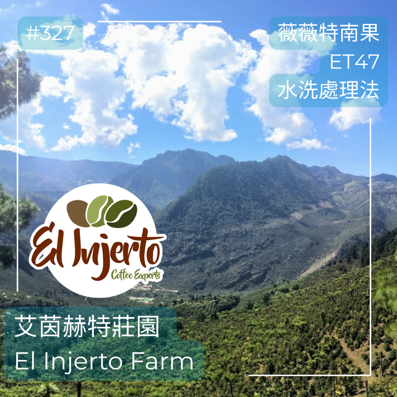 327.25 艾茵赫特莊園 El Injerto・ET47・水洗處理法・瓜地馬拉 薇薇特南果