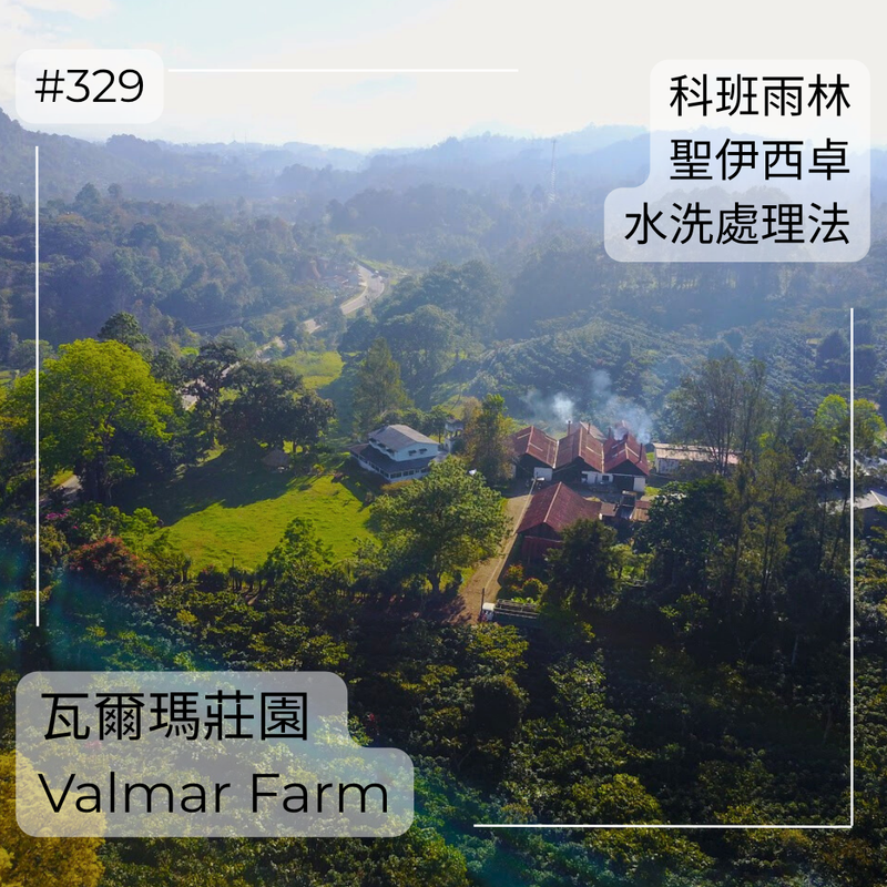 329.25 瓦爾瑪莊園 Finca Valmar．聖伊西卓．水洗處理法．科班雨林