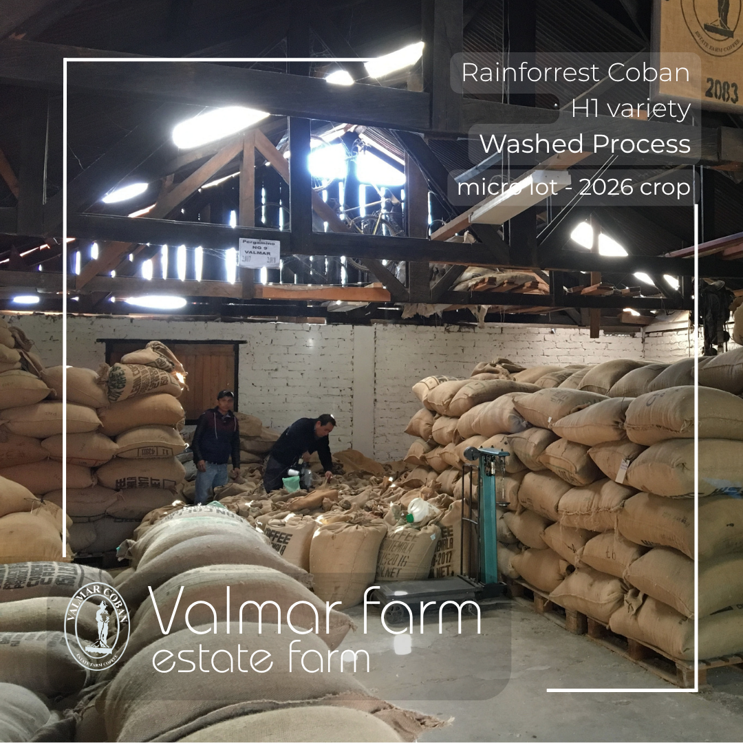 336 瓦爾瑪莊園 Valmar Farm - 科班雨林．H1．水洗處理法 💧