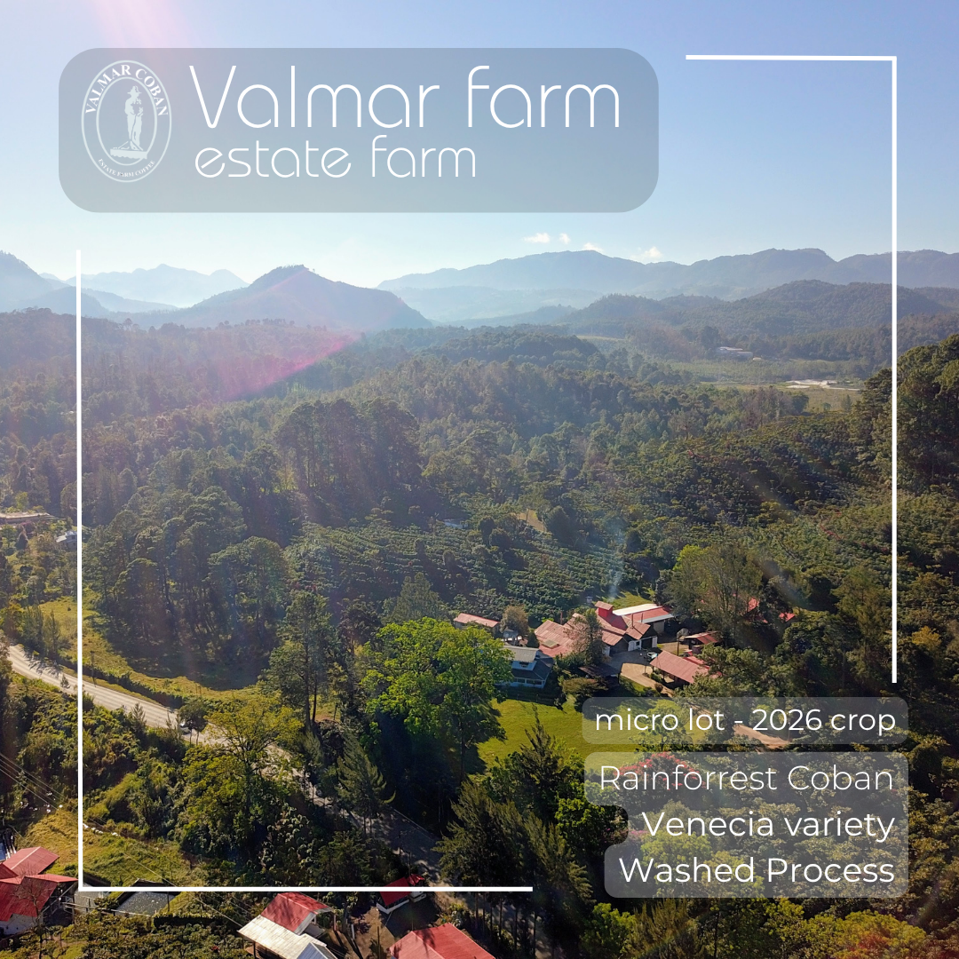 337 瓦爾瑪莊園 Valmar Farm - 科班雨林．薇尼西亞 Venecia．水洗處理法 💧