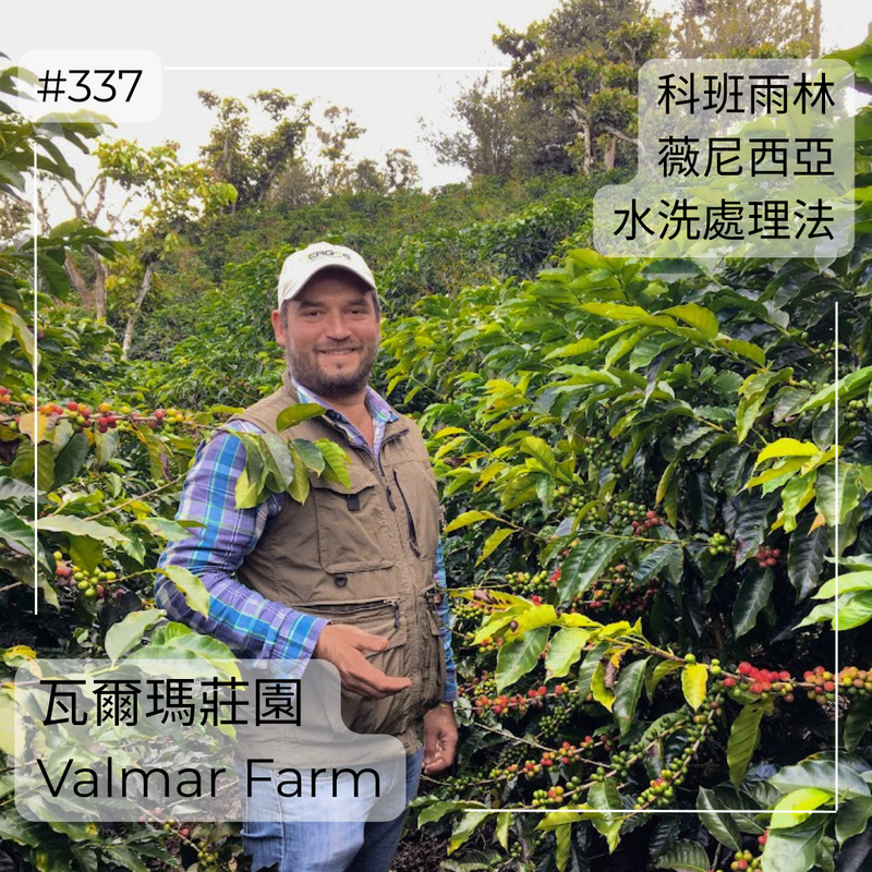 337.25 瓦爾瑪莊園 Finca Valmar．薇尼西亞．水洗處理法．科班雨林