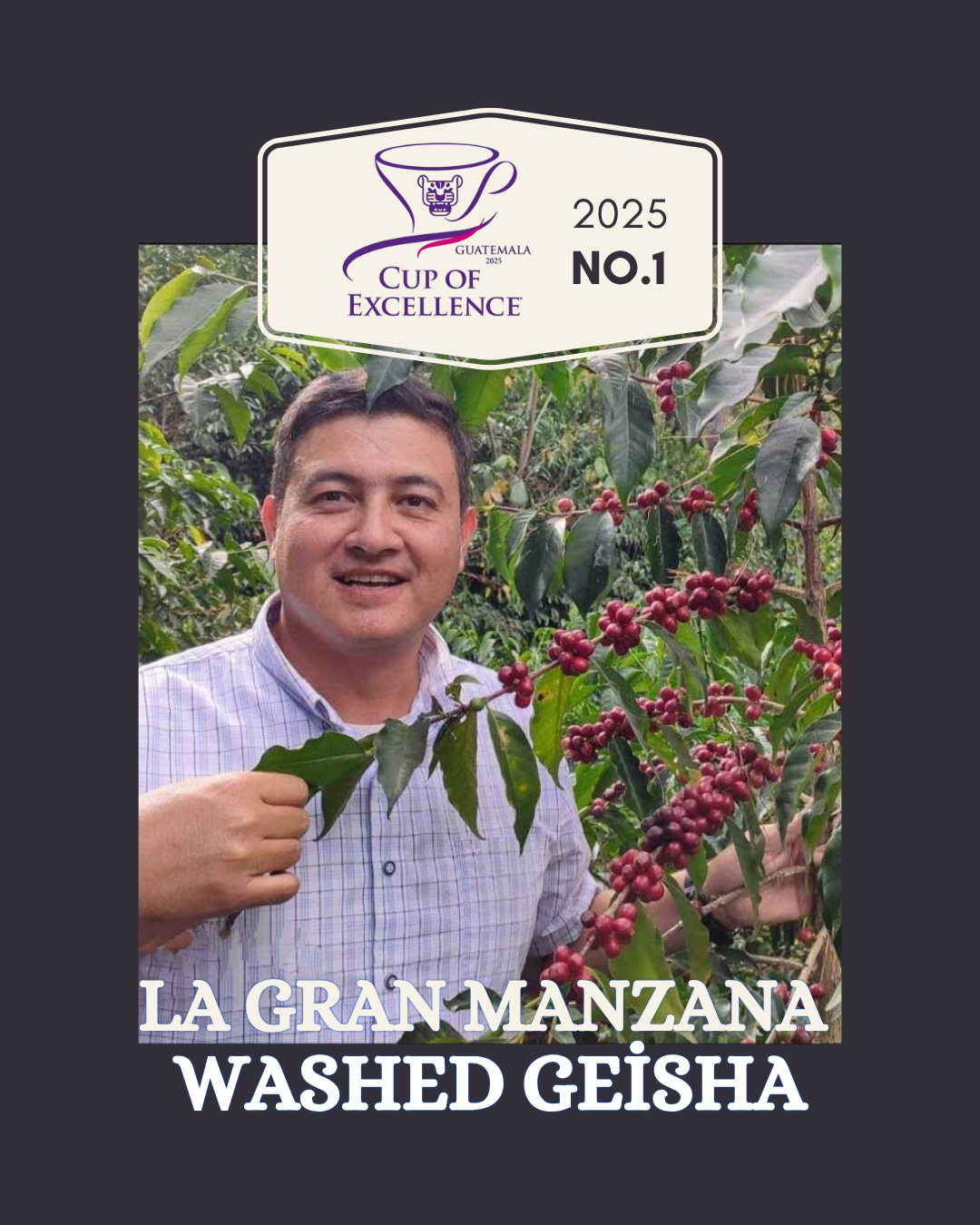 La Gran Manzana - Gesha Washed process- 2025 GT COE winner #1