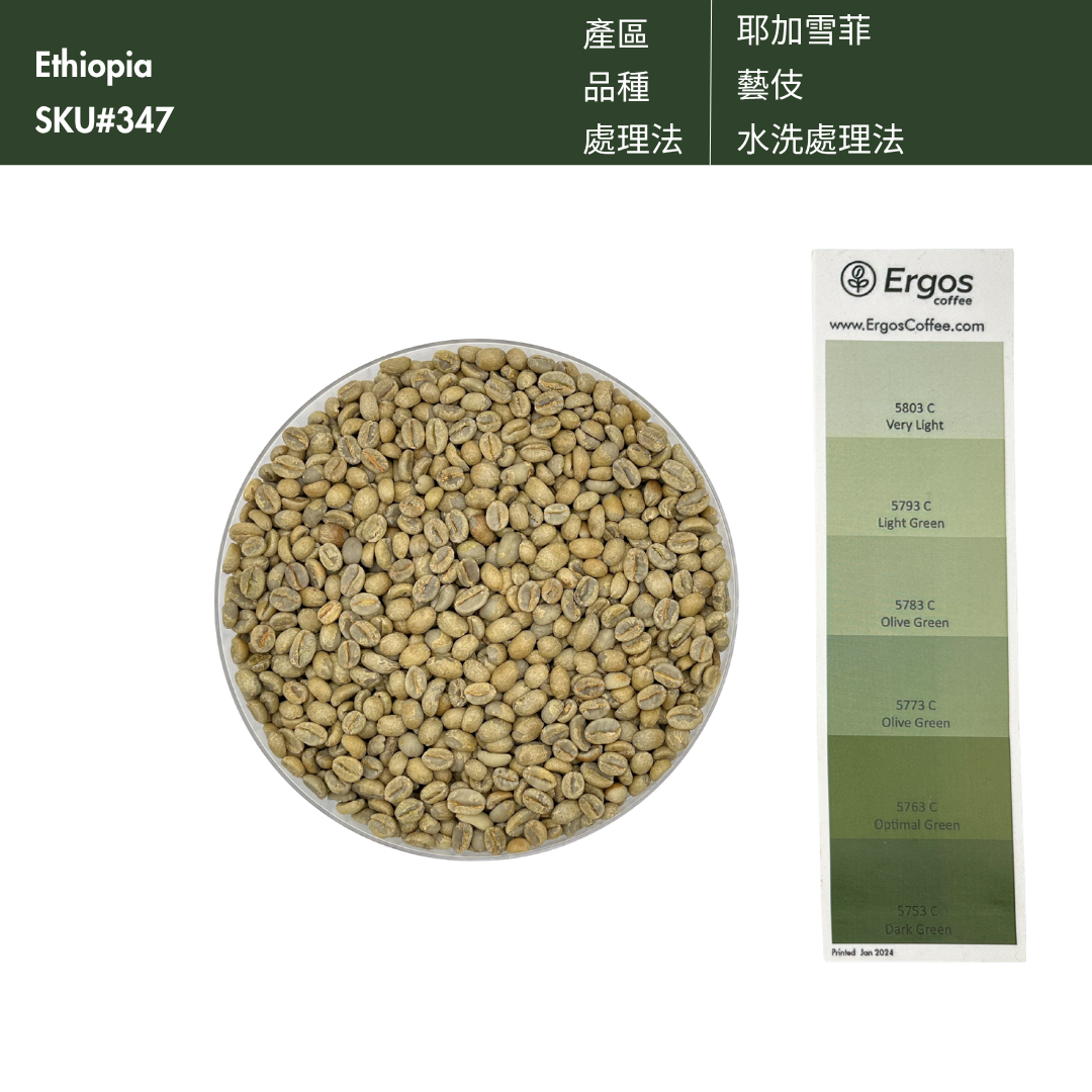 347 紫耀藝伎 - 耶加雪菲 藝伎 日曬 G1