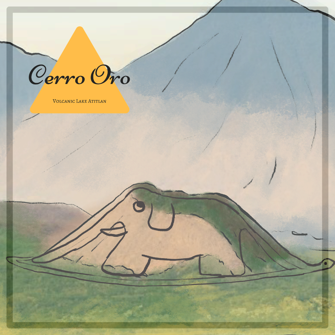 354 希洛羅咖啡 Cerro de Oro coffee - 阿蒂特蘭湖・波旁、帕榭・日曬處理法