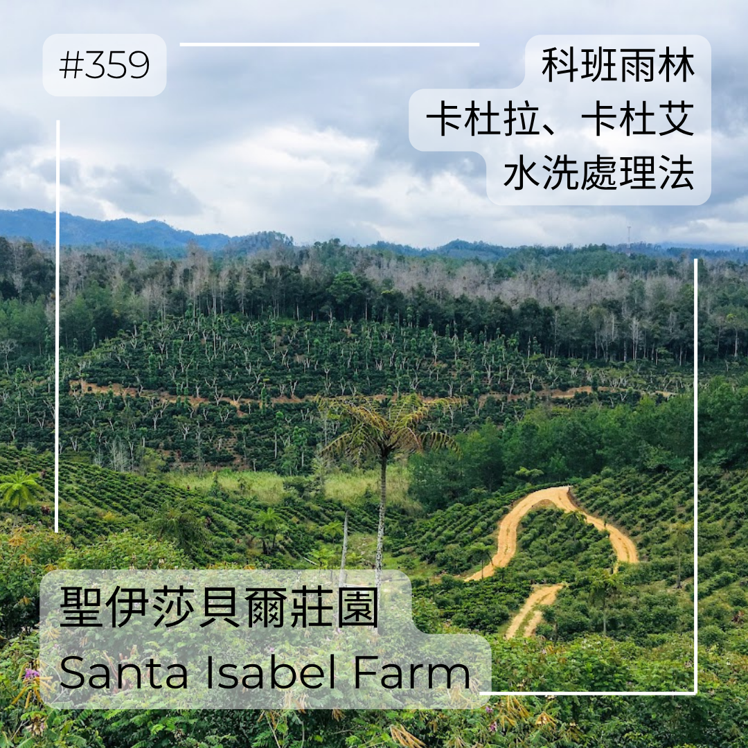 359.25 聖伊莎貝爾莊園 Finca Santa Isabel．卡杜拉、卡杜艾．水洗處理法．科班雨林