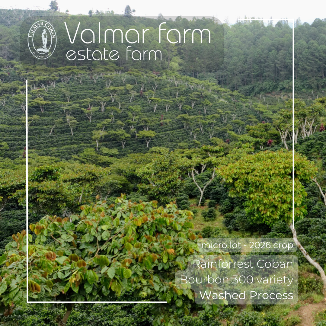 363 瓦爾瑪莊園 Valmar Farm - 科班雨林．波旁300．水洗處理法 💧