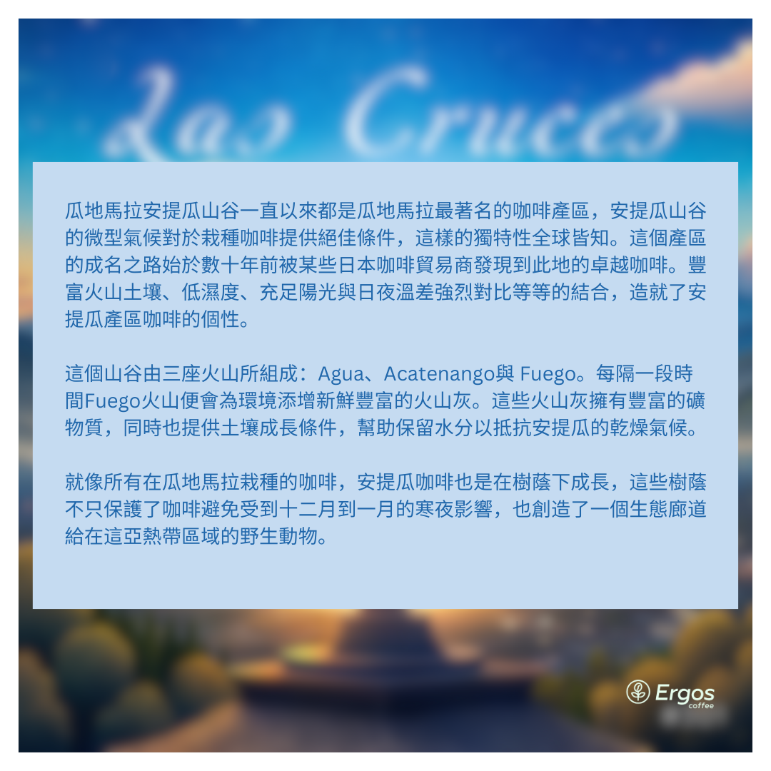 301安提瓜花神咖啡 Las Cruces・波旁、卡杜拉・水洗處理法・安提瓜