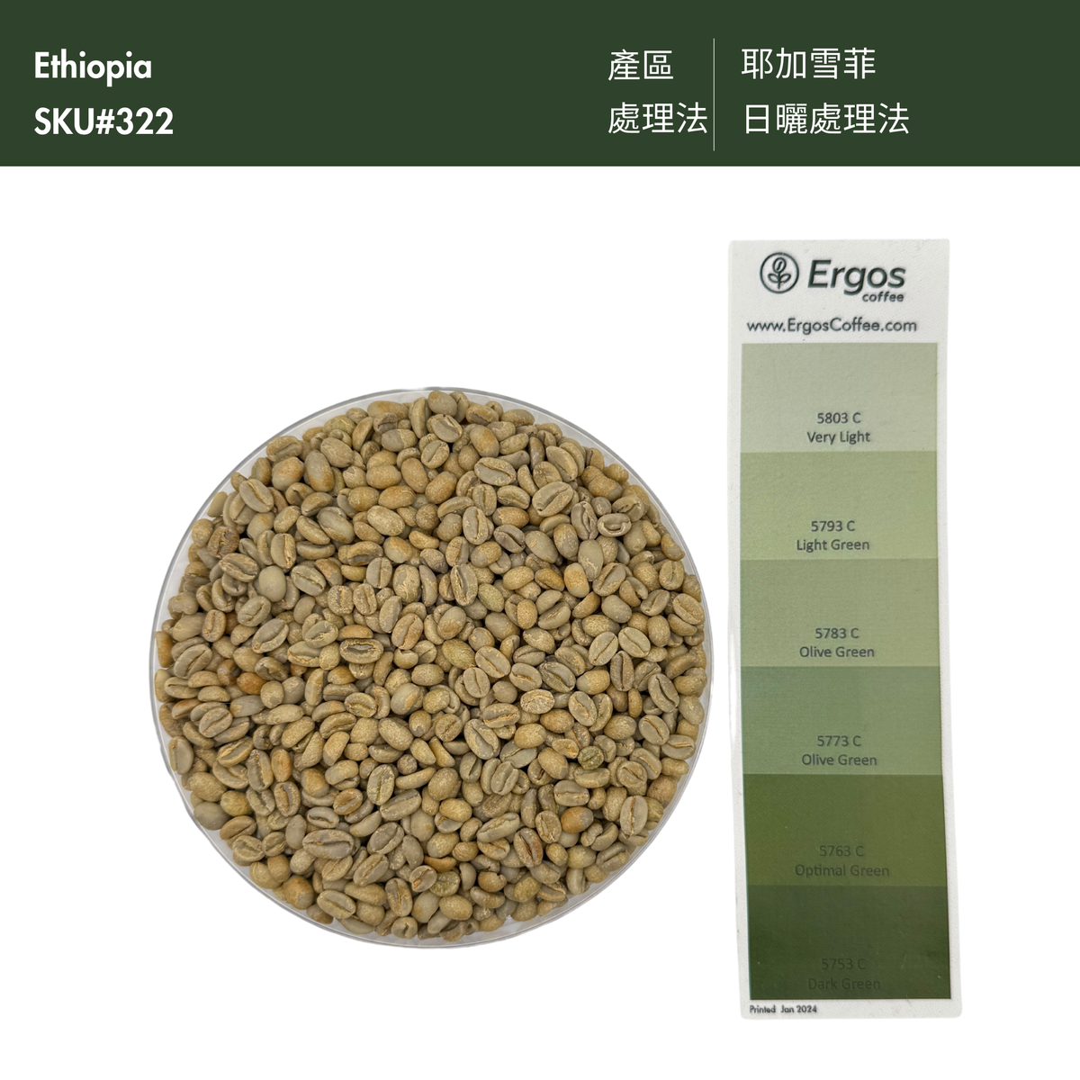 321 “橘色山丘”開賣！衣索比亞・耶加雪菲・艾瑞加處理廠 ・原生種 ・日曬・ G1