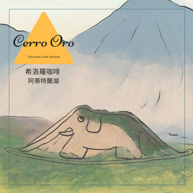 453 希洛羅咖啡 Cerro de Oro coffee - 阿蒂特蘭湖・卡杜拉、卡杜艾・水洗處理法