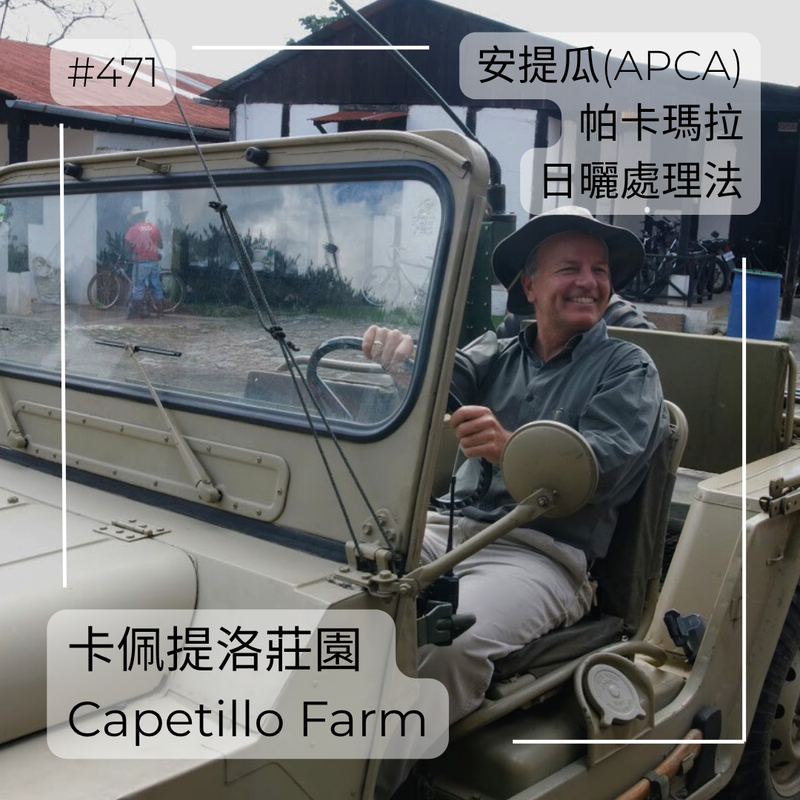 471.25卡佩提洛莊園 Capetillo Farm．帕卡瑪拉．日曬處理法．安提瓜(APCA)