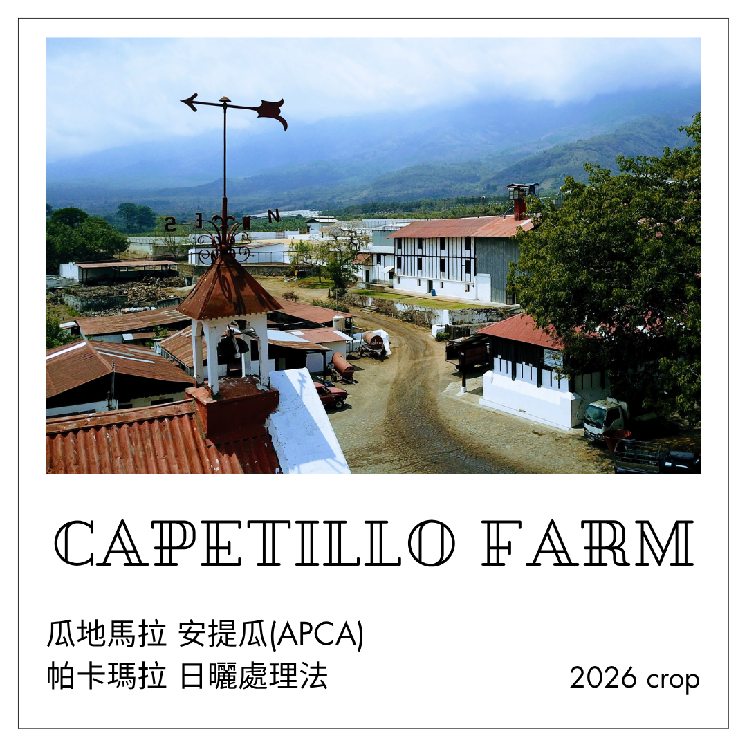 471 卡佩提洛莊園 Capetillo Farm．帕卡瑪拉．日曬處理法．安提瓜(APCA)