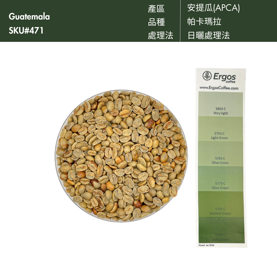 471 卡佩提洛莊園 Capetillo Farm．帕卡瑪拉．日曬處理法．安提瓜(APCA)