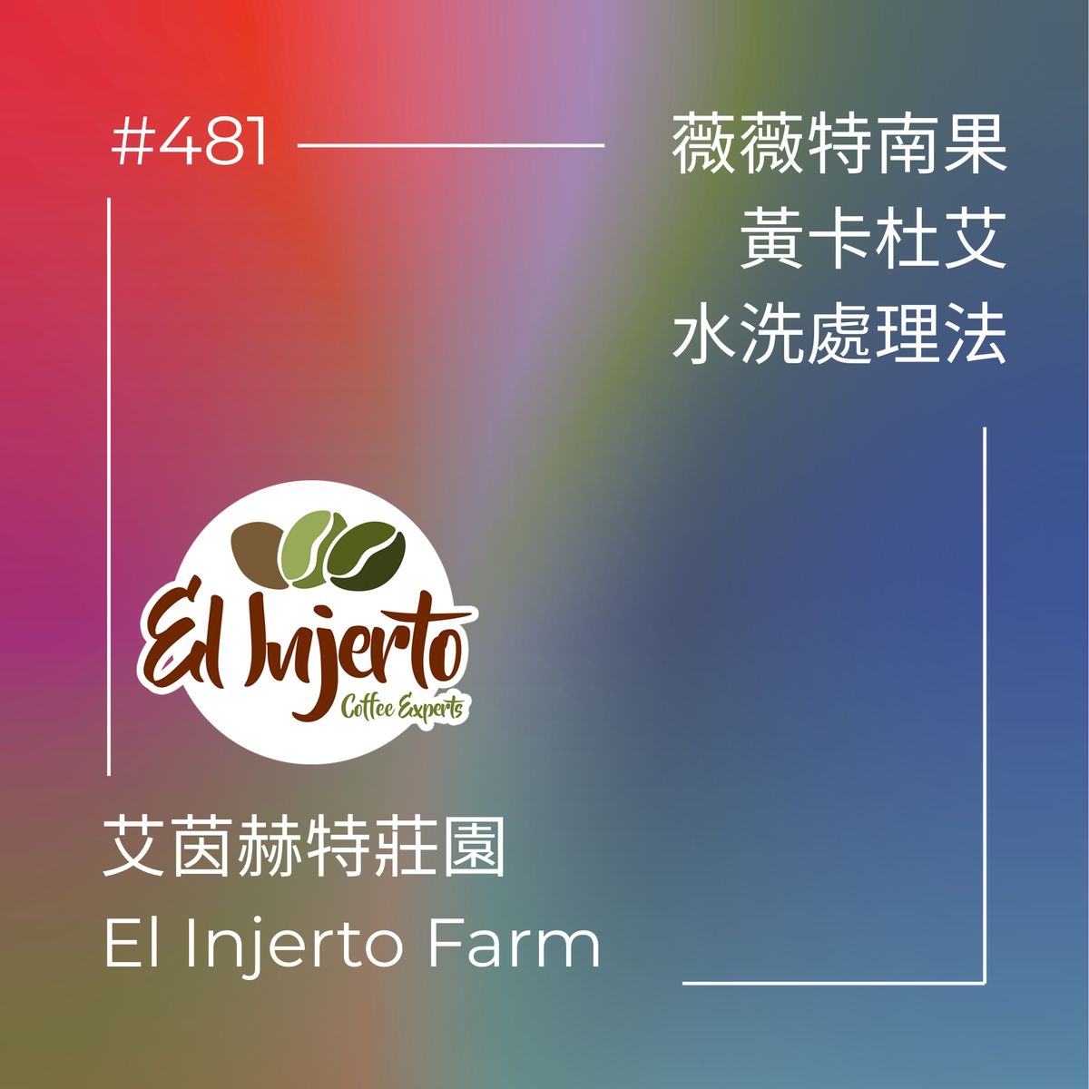 481.25 艾茵赫特莊園 El Injerto・黃卡杜艾・水洗處理法・薇薇特南果