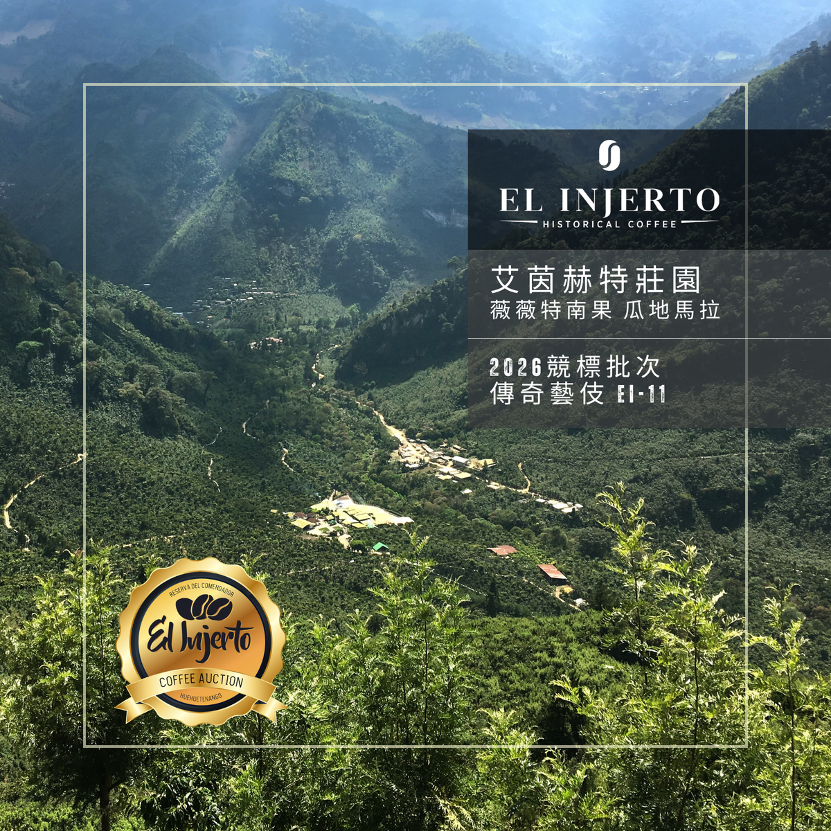 艾茵赫特莊園 El Injerto  - 2026競標批次 傳奇藝伎 EI11 - 傳奇 藝伎 競標 - 水洗處理法 💧