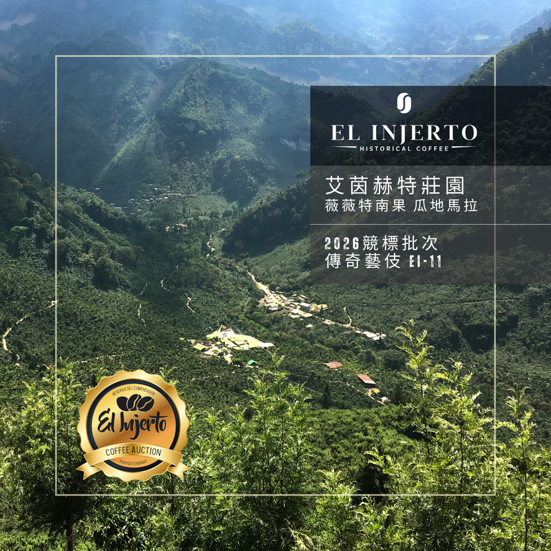艾茵赫特莊園 El Injerto  - 2026競標批次 傳奇藝伎 EI11 - 傳奇 藝伎 競標 - 水洗處理法 💧