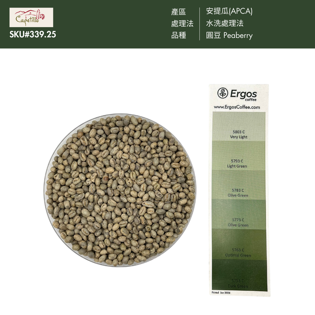 339卡佩提洛莊園 Capetillo Farm．圓豆．水洗處理法．安提瓜(APCA)
