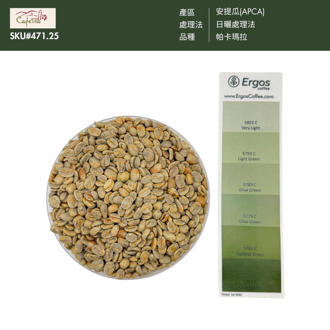 471.25卡佩提洛莊園 Capetillo Farm．帕卡瑪拉．日曬處理法．安提瓜(APCA)