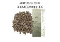 503 天堂鳥咖啡 Paraiso coffee．鐵皮卡、卡杜拉、卡杜艾．水洗處理法．新東方