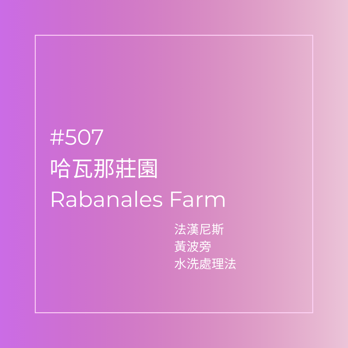 507.25 哈瓦那莊園 Rabanales Farm．黃波旁．水洗處理法．法漢尼斯