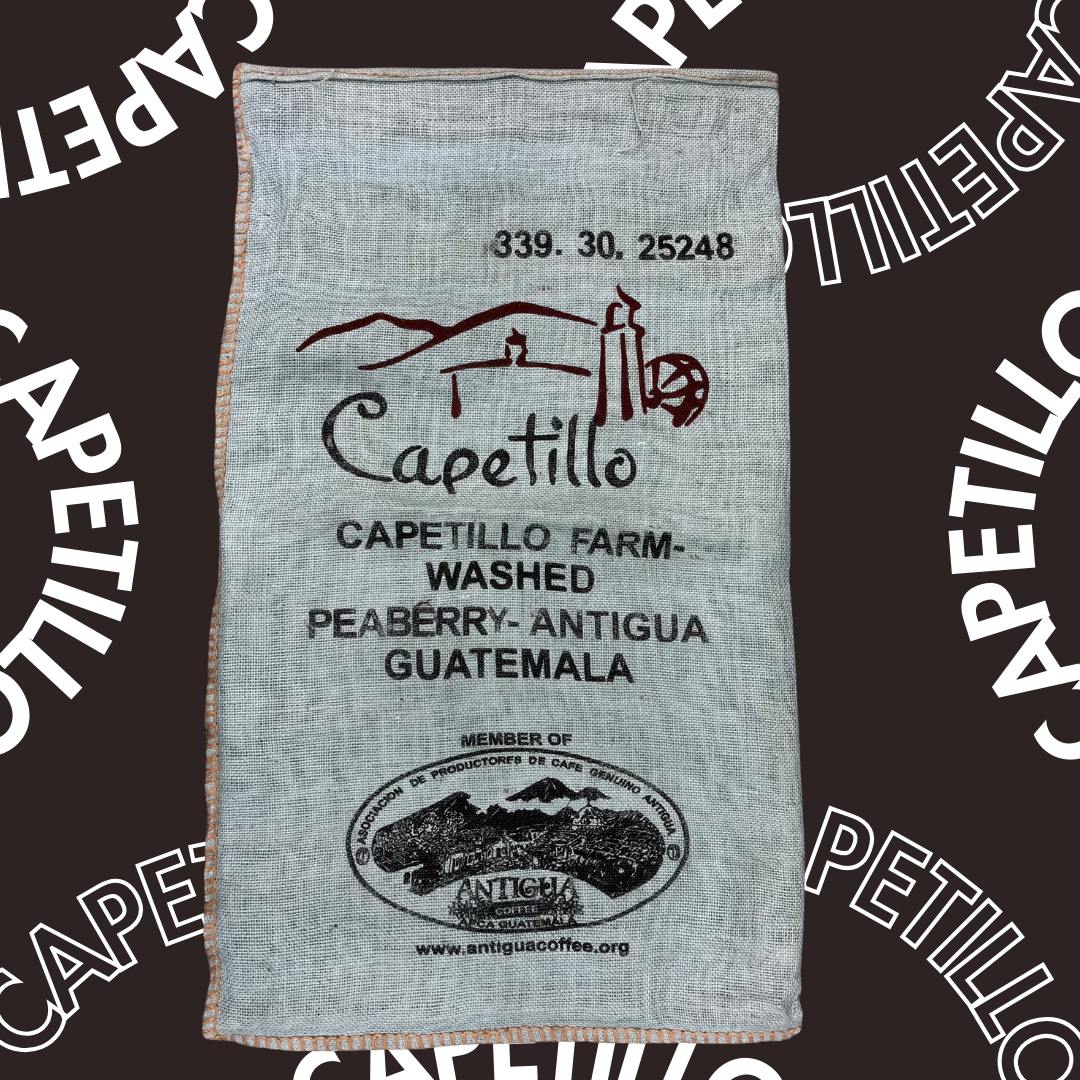 339卡佩提洛莊園 Capetillo Farm．圓豆．水洗處理法．安提瓜(APCA)
