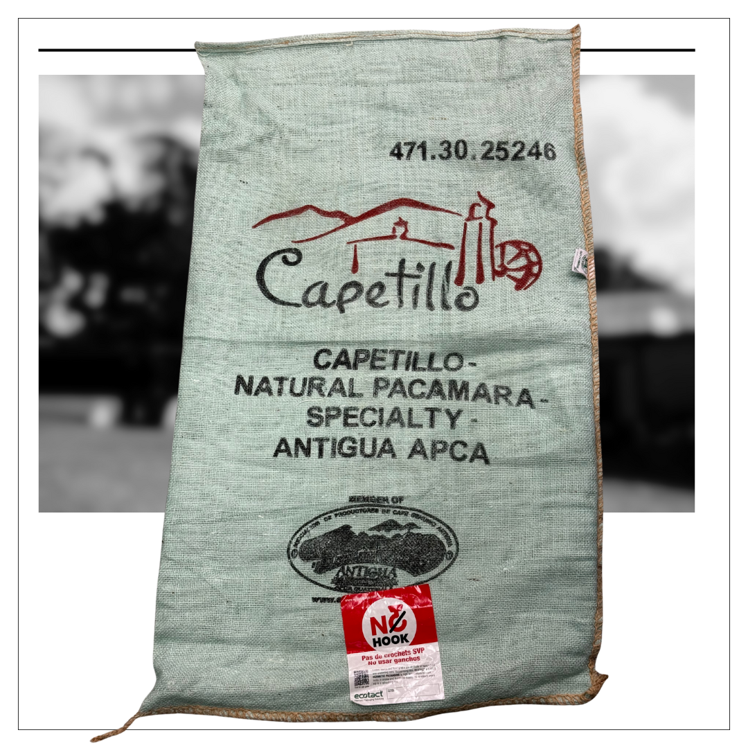 471.25卡佩提洛莊園 Capetillo Farm．帕卡瑪拉．日曬處理法．安提瓜(APCA)
