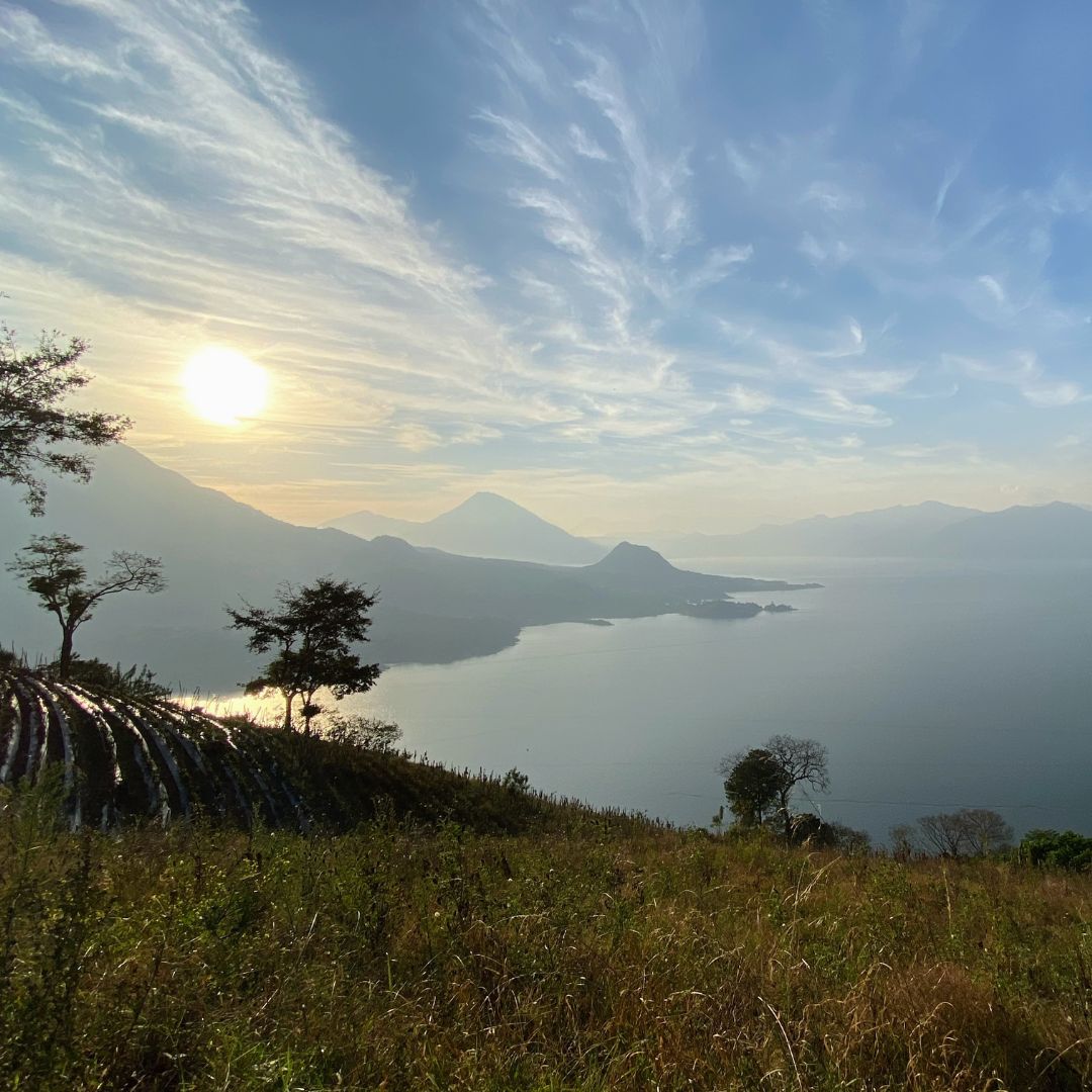 453.24 希洛羅咖啡 Cerro de Oro Coffee・卡杜拉、卡杜艾、鐵皮卡・水洗處理法・阿蒂特蘭湖 (瓜地馬拉商業豆）