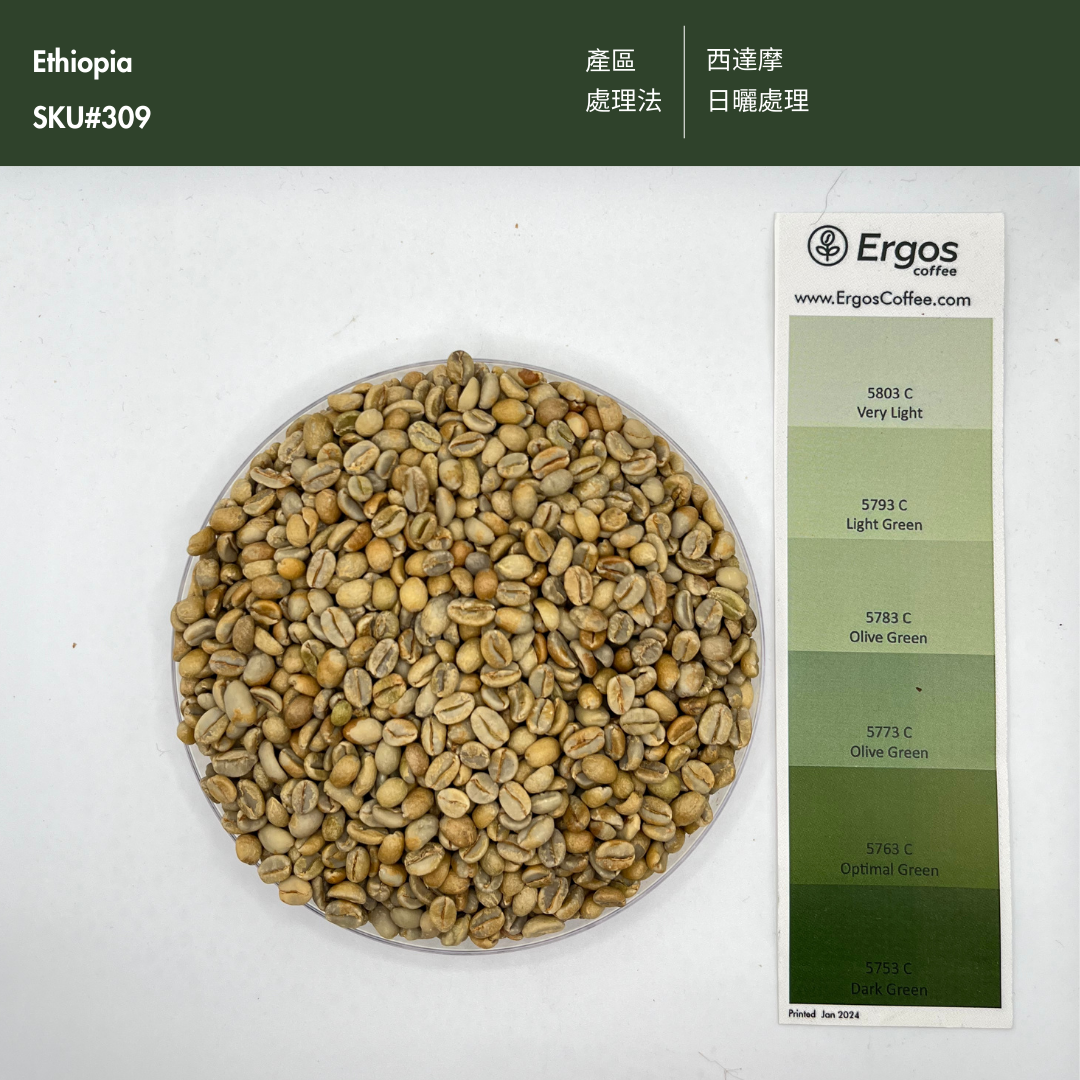 309 衣索比亞 西達摩 聖塔瓦娜處理廠 日曬 G1