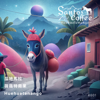 601.24 聖豆士咖啡 Santos Coffee・卡杜拉、卡杜艾、鐵皮卡・水洗處理法・薇薇特南果(瓜地馬拉商業豆)