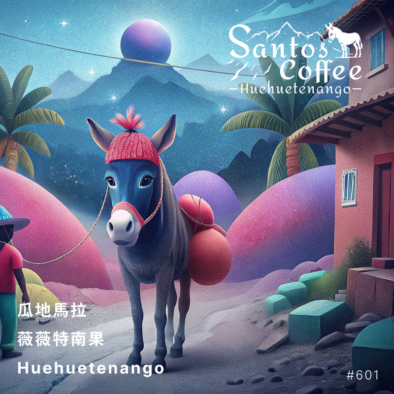 601.25 聖豆士咖啡 Santos Coffee・波旁・水洗處理法・薇薇特南果(瓜地馬拉商業豆)