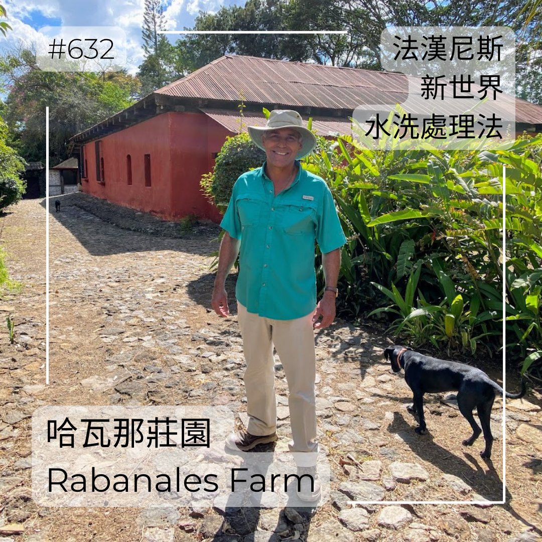 632.25 哈瓦那莊園 Rabanales Farm．新世界．水洗處理法．法漢尼斯