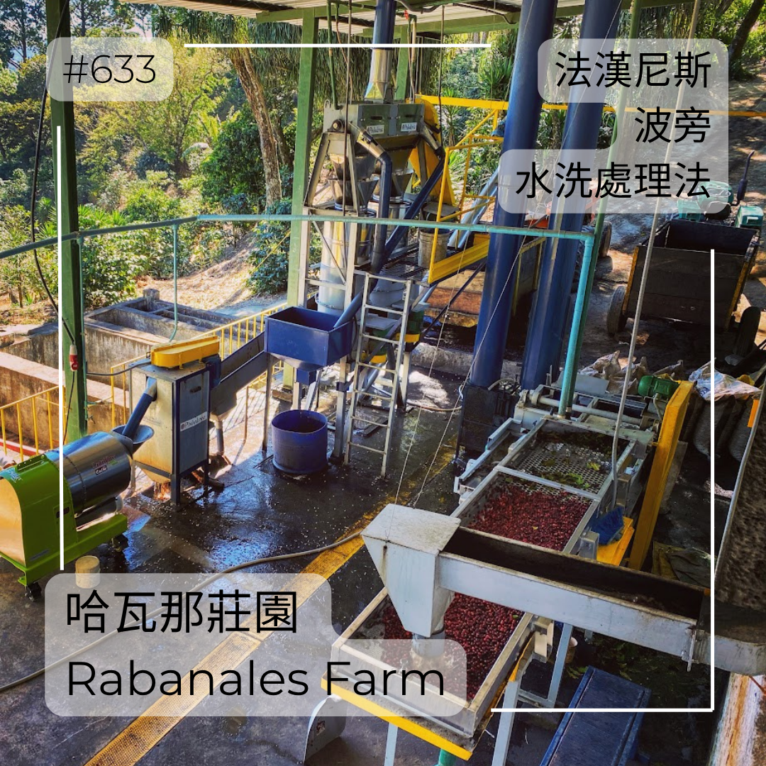 633.25 哈瓦那莊園 Rabanales．波旁．水洗處理法．法漢尼斯