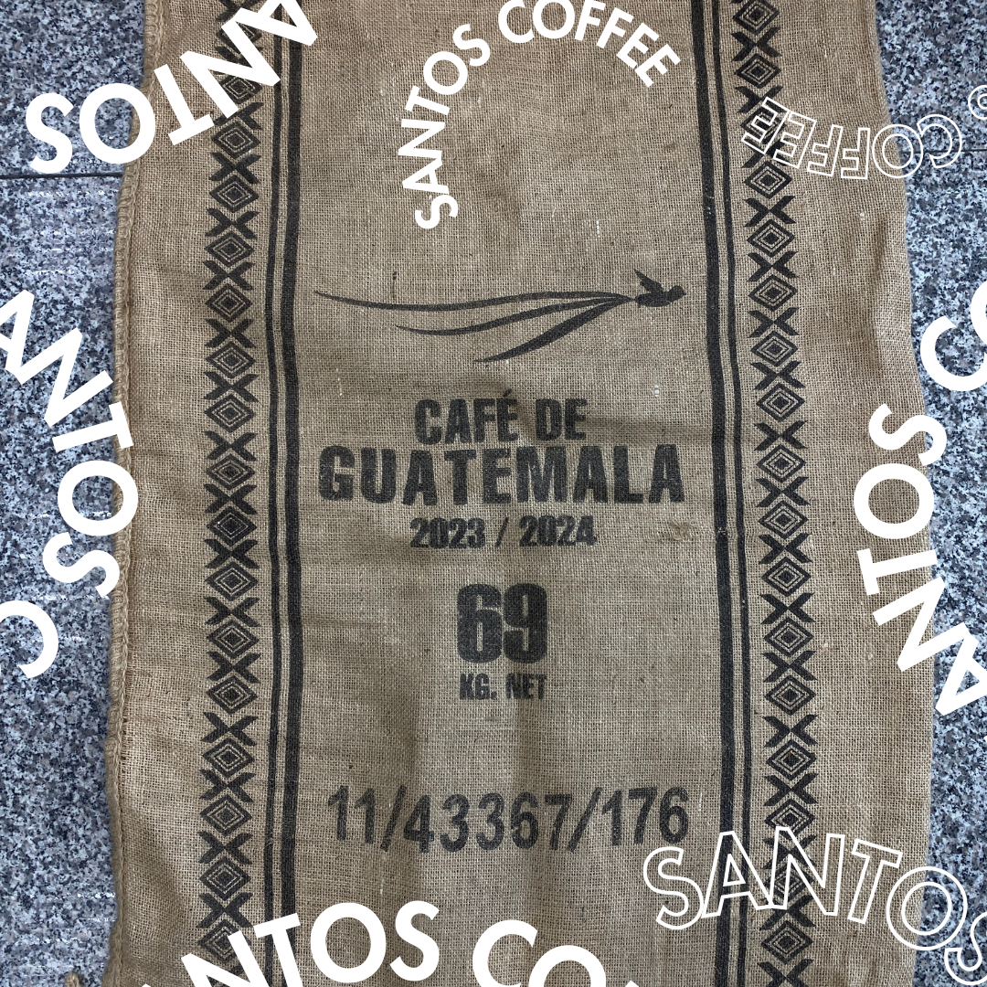 304 聖豆士咖啡 Santos Coffee・波旁、卡杜拉、卡杜艾・水洗處理法・薇薇特南果