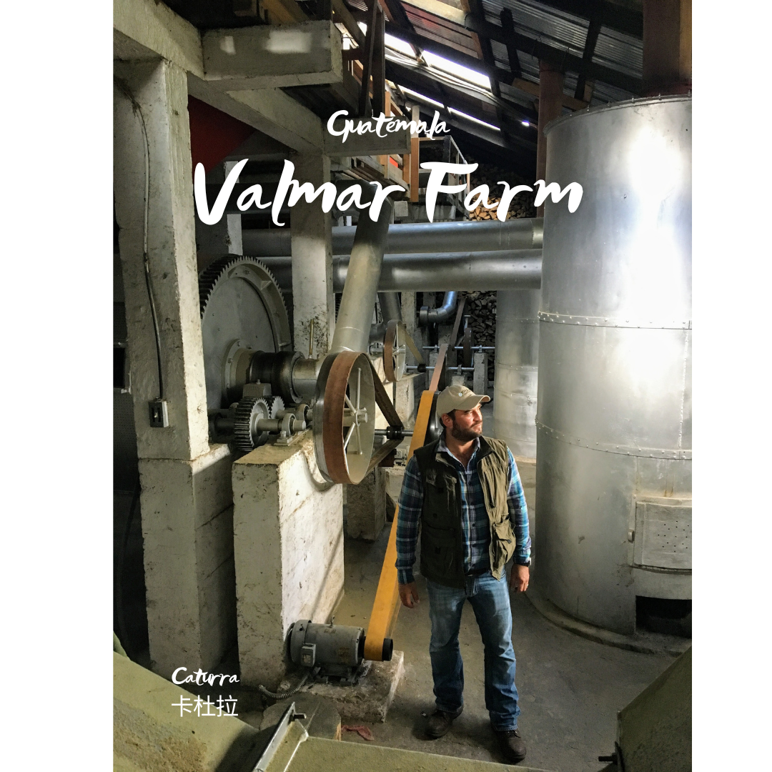 335.25 瓦爾瑪莊園 Finca Valmar．卡杜拉．水洗處理法．科班雨林